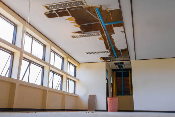 Best Water damage restoration near me  in Gang Mills, NY