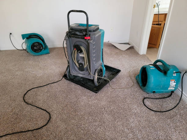 Best Fire Damage Restoration  in Gang Mills, NY