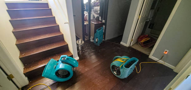 Best Ceiling water damage repair  in Gang Mills, NY