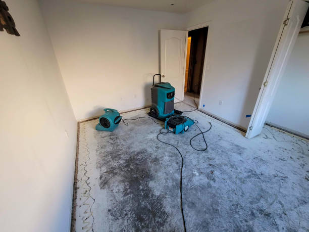Best Fire Damage Restoration  in Gang Mills, NY