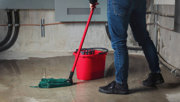 Best Local water damage restoration  in Gang Mills, NY