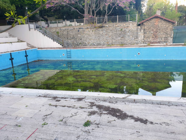 Best Flood restoration services  in Gang Mills, NY