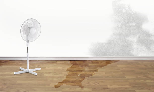 Local water damage restoration in NY