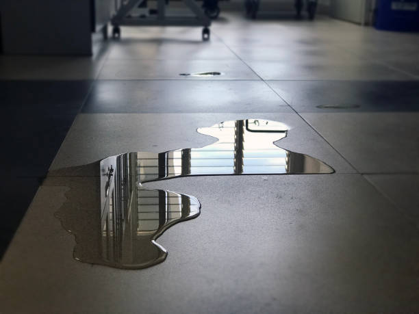 Best Professional water damage repair  in Gang Mills, NY