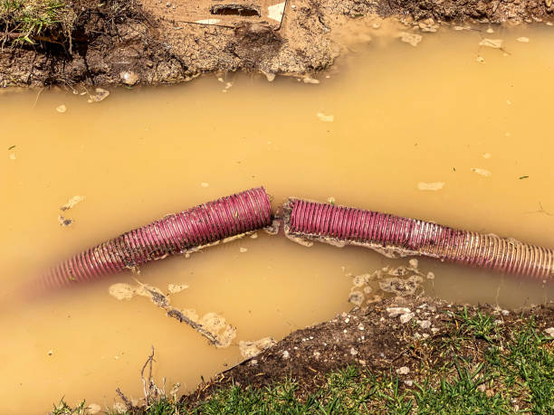 Best Water damage restoration near me  in Gang Mills, NY